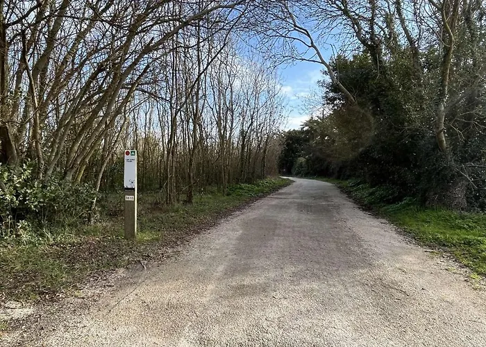 Maison 3 Pieces Calme Pres De La - St Denis D'oleron - Fr-1-246a-205